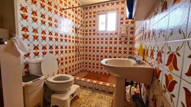 20230609_110726-scaled